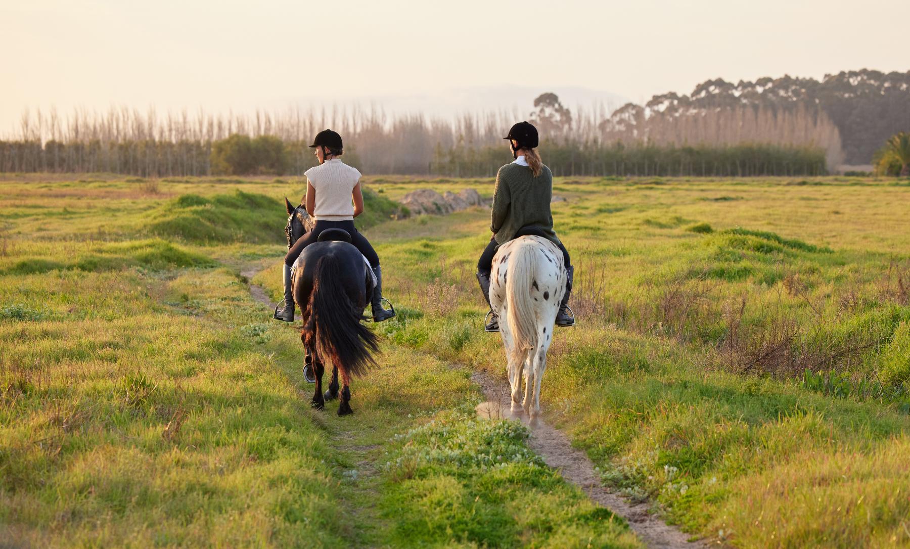 Take A Scenic Ride Through The Poplar Woods